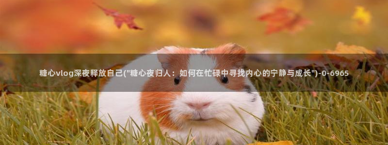 糖心vlog糖心：糖心vlog深夜释放自己(\