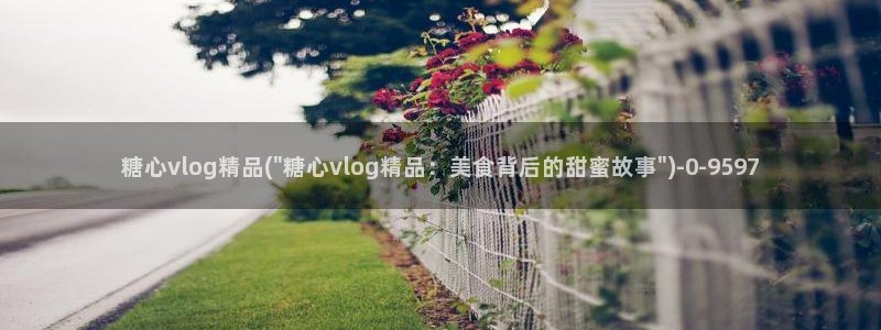 bdtvb糖心