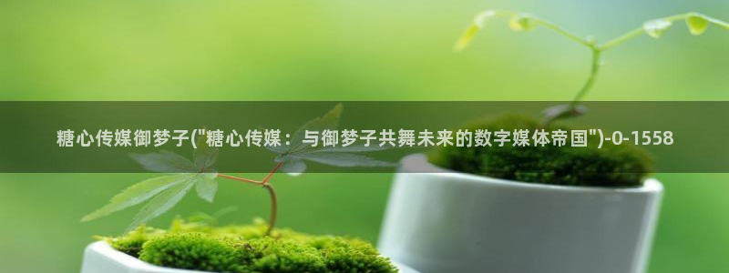 糖心小欣和糖心小蕾谁厉害：糖心传媒御梦子(\