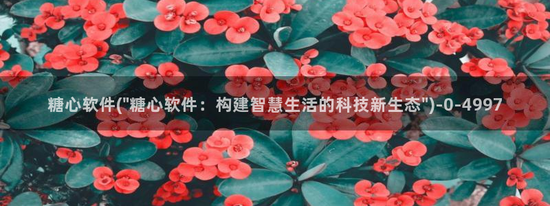 糖 心vlog：糖心软件(\