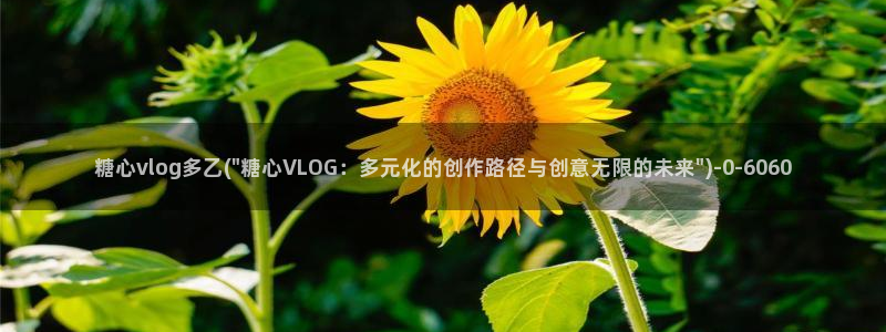 糖心vlgo色